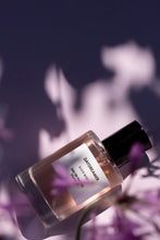 Daydreamer 50ml Body EDP